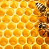 bees-honeycomb-island-desibantu